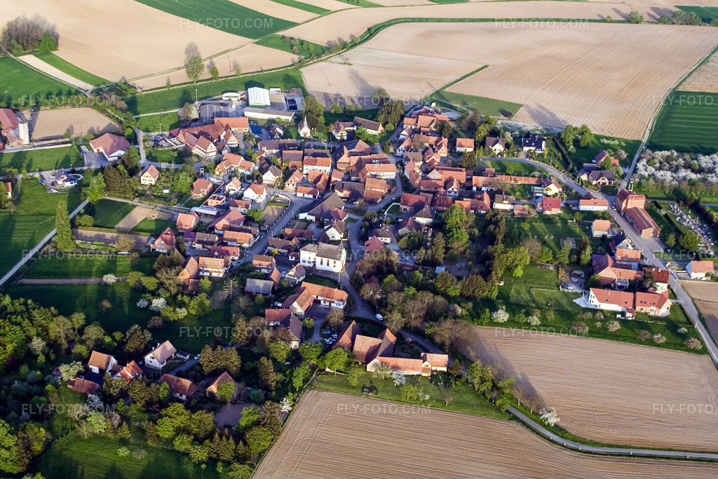 Aerial view: View of the town in Reimerswiller in the state Bas-Rhin, France.Photo: IMG_10648.jpg taken on 05/04/2008 by Werner Riehm/FLY-FOTO.comResolution of the original: 3230 x 2153 px