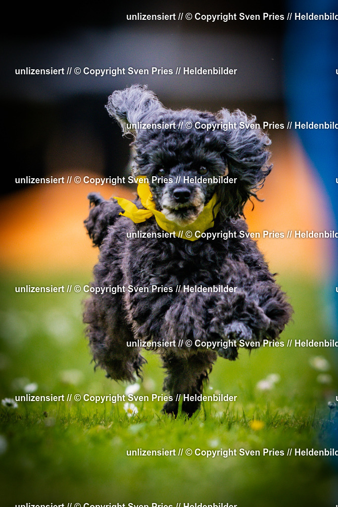 Sven Pries | 2025-05-29 - Pudelrennen KA-Durlach - Realisiert mit Pictrs.com