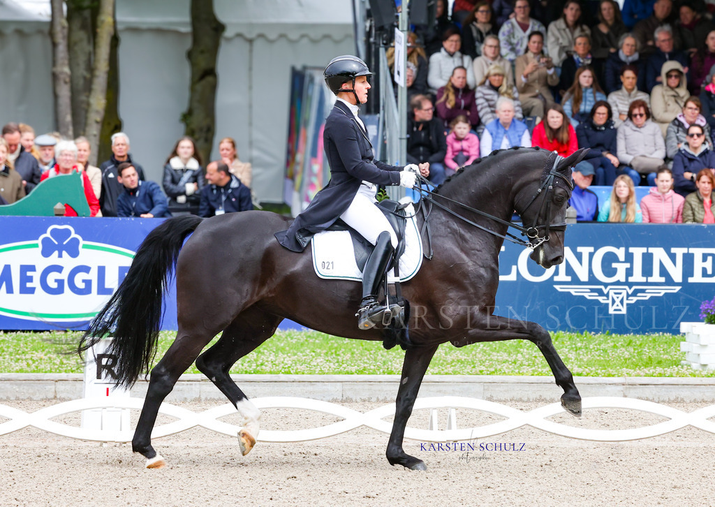 1B3A7356 | Reitsport Reiten
