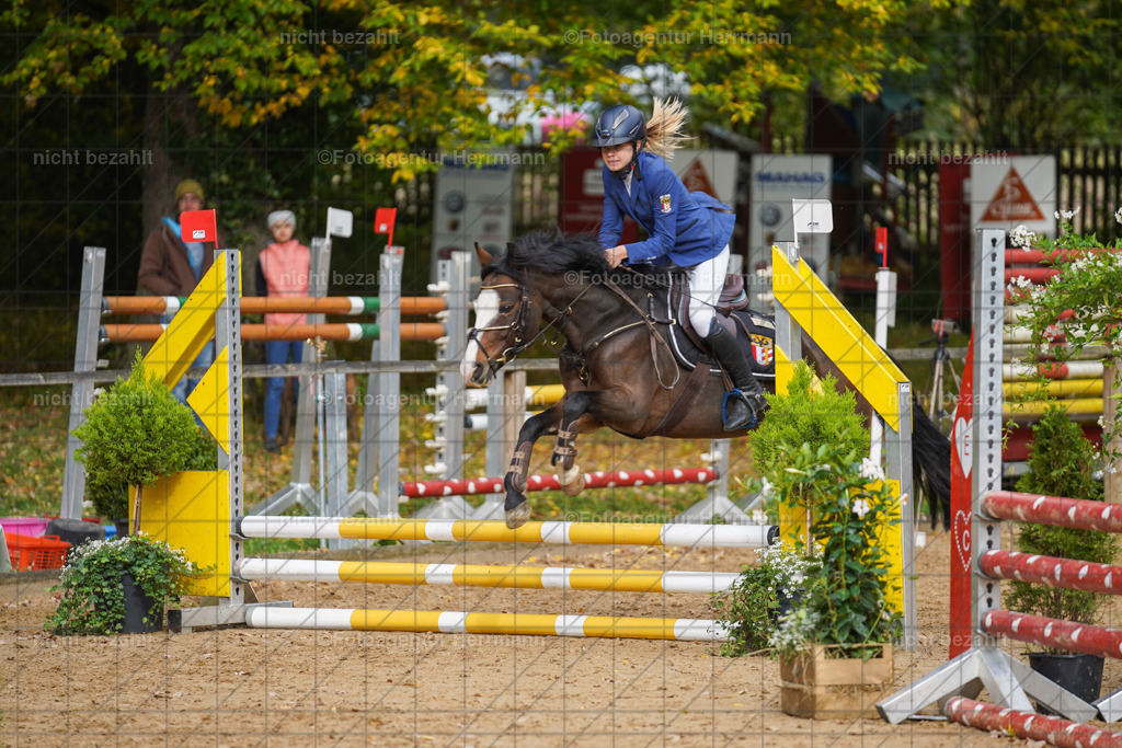 20221009-FAH08509 | Diessen am Ammersee, 2022, Dressur- und Springturnier, Reitsportbilder, Turnierfotografen Bayern, Pferdefotografen, Fotoagentur Herrmann, Turnierbilder