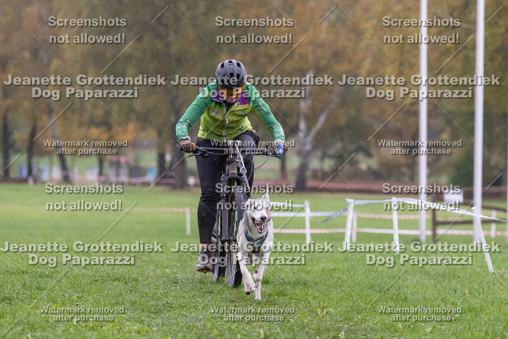 Dog Paparazzi - SD CaniX Championship 2025-938 | Dog Paparazzi Jeanette Grottendiek Fotografie & Videografie - Realisiert mit Pictrs.com