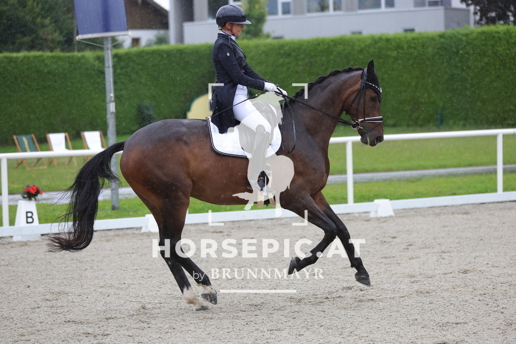 0P6A1038 | Willkommen bei Brunnmayr - Design & Fotografie – Ihrem Spezialisten für Reitturniere und Pferdeveranstaltungen in Oberösterreich, Salzburg und Bayern! Seit über 17 Jahren sind wir leidenschaftlich dabei.