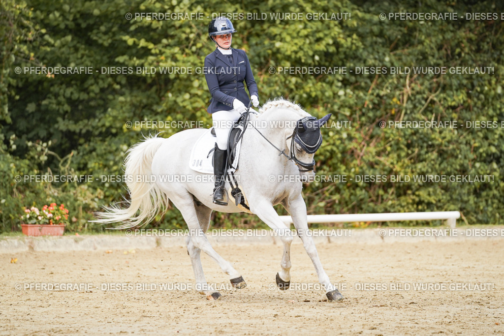 DSC02839 | Pferdegrafie