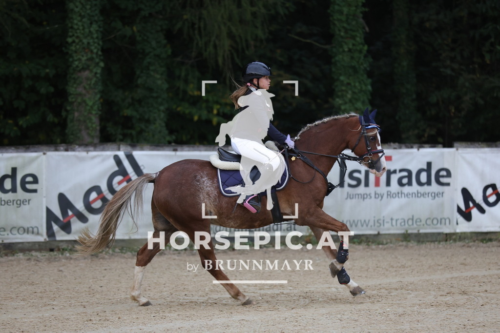 0P6A4542 | Willkommen bei Brunnmayr - Design & Fotografie – Ihrem Spezialisten für Reitturniere und Pferdeveranstaltungen in Oberösterreich, Salzburg und Bayern! Seit über 17 Jahren sind wir leidenschaftlich dabei.