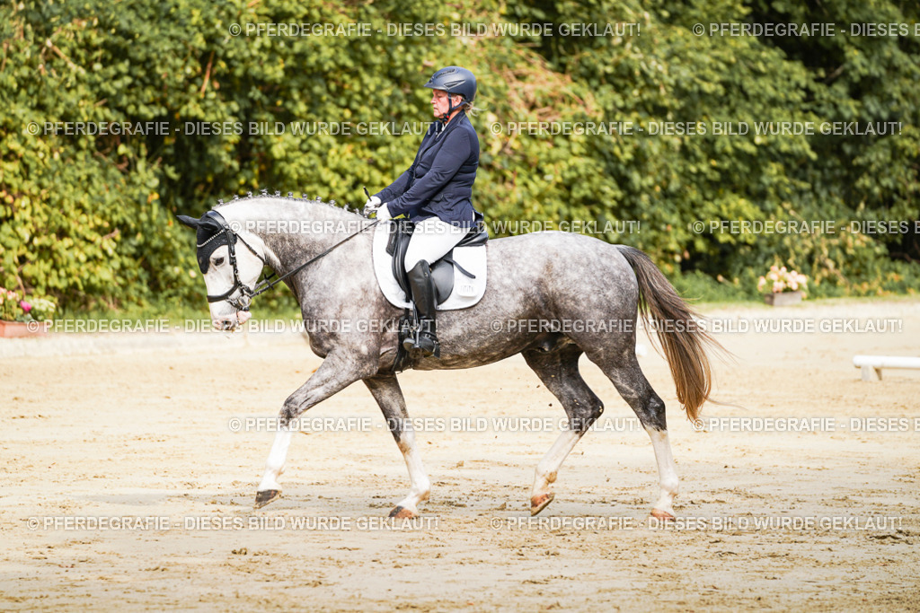 DSC01656 | Pferdegrafie