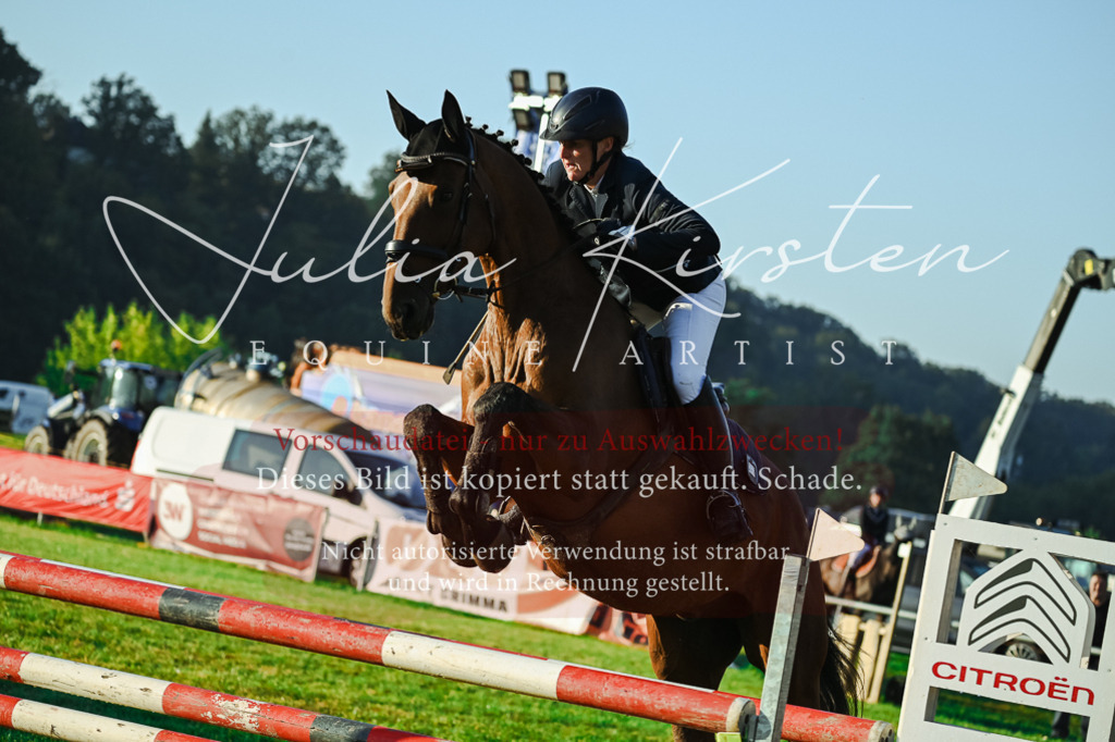 DSC_3852 | Pferde- und Turnierfotografie in Westsachsen. Pferdeportraits, Auftragszeichnungen und intuitive Kunst.