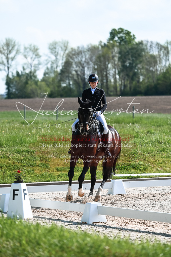 20230514_JK-Röhrsdorf-18-396 | Pferde- und Turnierfotografie in Westsachsen. Pferdeportraits, Auftragszeichnungen und intuitive Kunst.