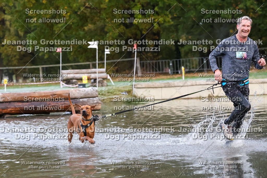 Dog Paparazzi - Strongdog 10-25-6173 | Dog Paparazzi Jeanette Grottendiek Fotografie & Videografie - Realisiert mit Pictrs.com