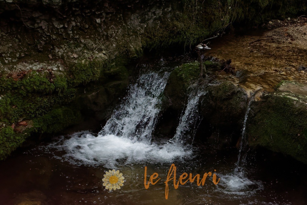 DSC_0075-NEF_DxO_PRIME | Dies ist der Shop von Florian Blum - le fleuri. Langenthal, Bern, SchweizSie können hier meine oder ihre eigenen Fotos als Fotoprodukte kaufen. Tassen, Schlüsselanhänger, Taschen etc. können Sie hier gestalten.  - Realisiert mit Pictrs.com