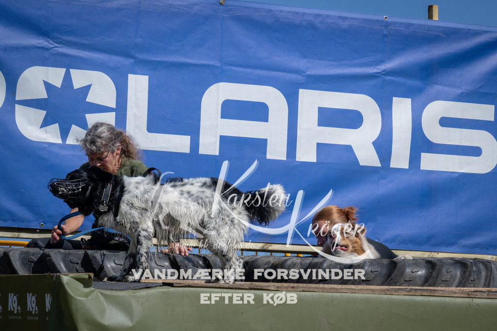 1204_ZZ93722 | kk-dogfotos