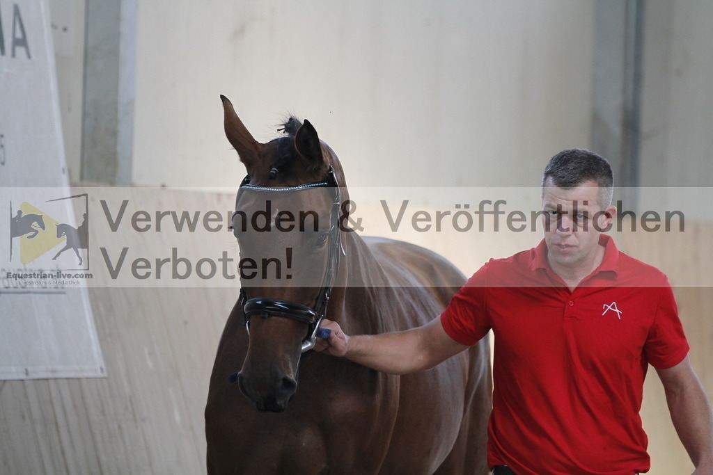 _MG_0667 | equestrian-live-com