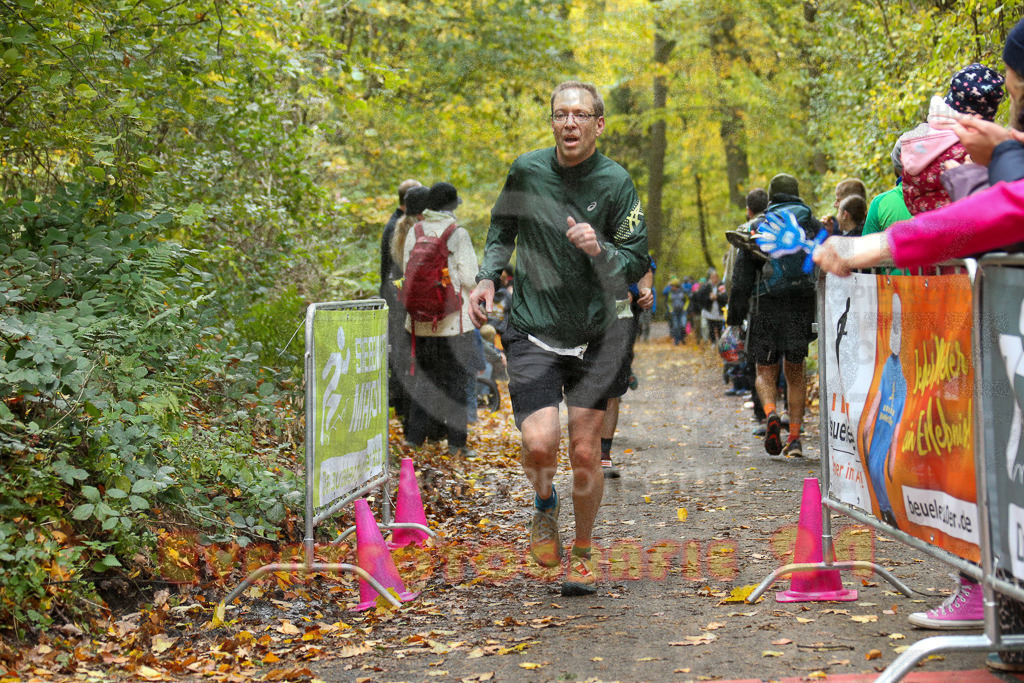 251026_1255_EX1_1914 | Sportfotografie im Rhein-Sieg Kreis, Köln, Bonn, NRW, Rheinland Pfalz, Hessen, etc. Unser Tätigkeitsfeld umfasst den Laufsport vom Volkslauf über den Marathon, Duathlon, Triathon bis zum Ultralauf wie Kölnpfad Ultra oder Schindertrail.