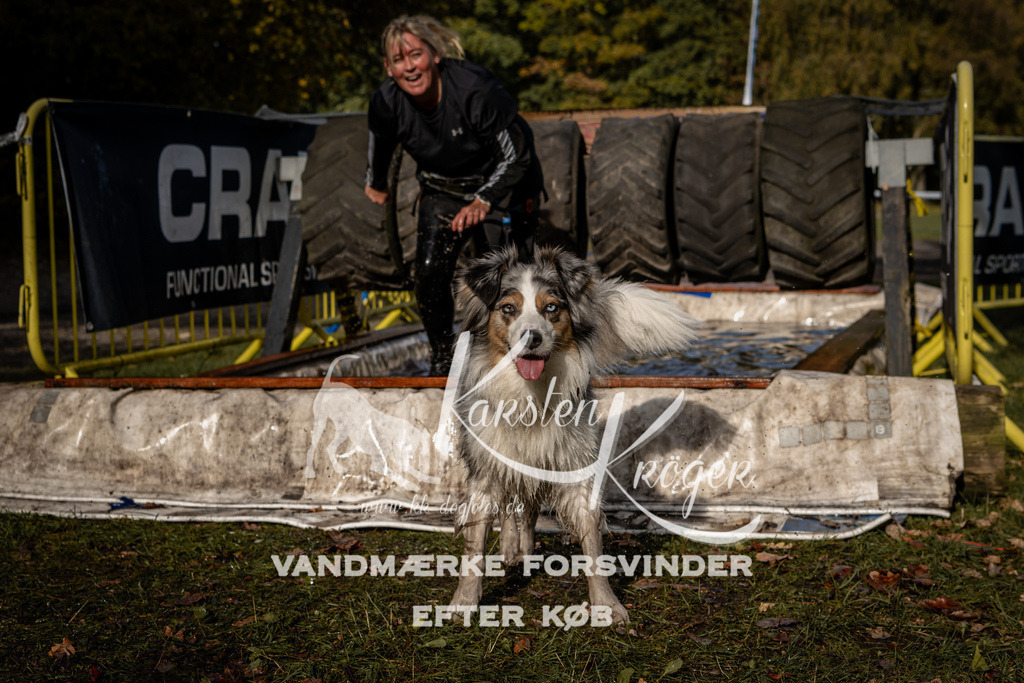 1352_ZZ93283 | kk-dogfotos