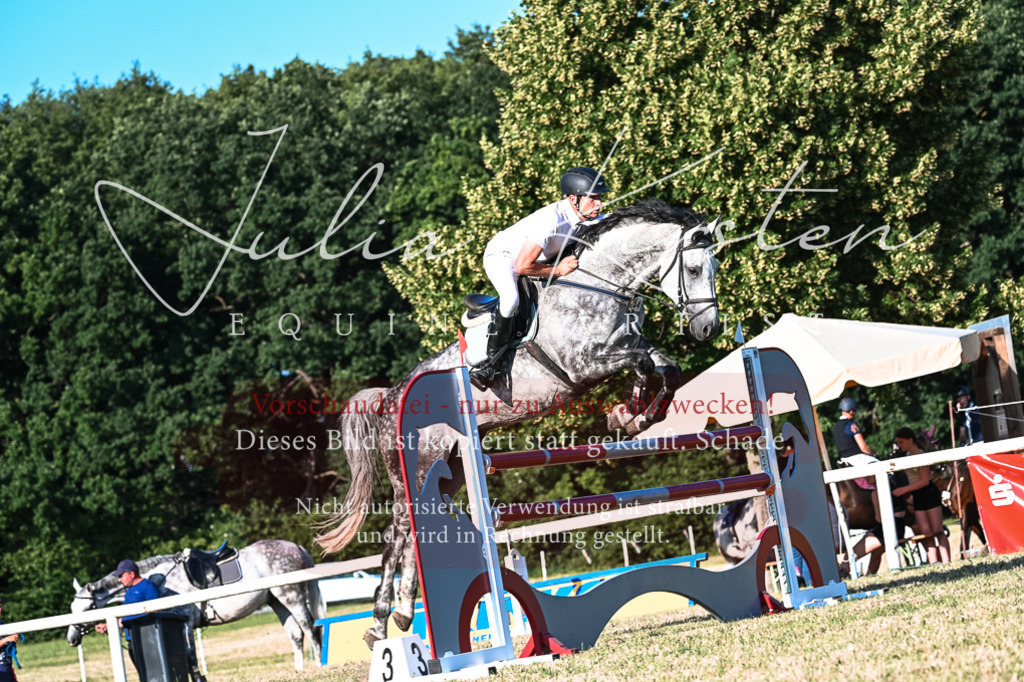 DSC_3089 | Pferde- und Turnierfotografie in Westsachsen. Pferdeportraits, Auftragszeichnungen und intuitive Kunst.