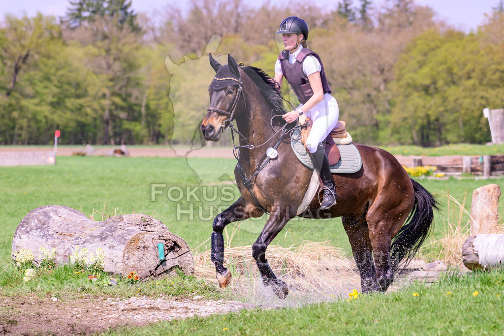 18042026-Gernlinden-01-2-0346 | Fokus Hufschlag Fotografie - Realisiert mit Pictrs.com