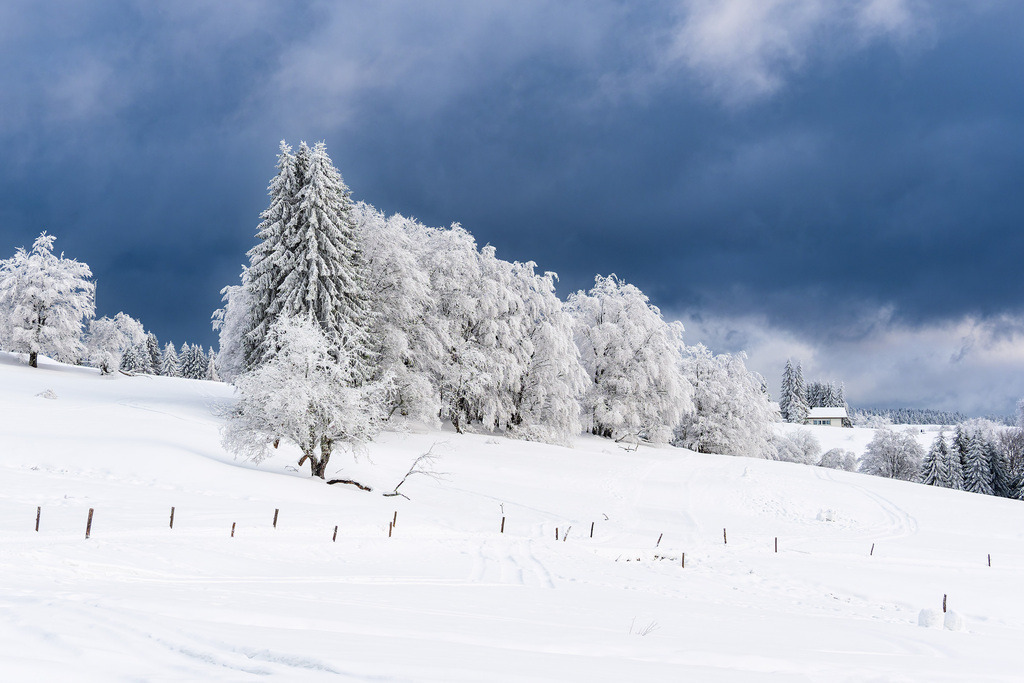 Landschaft im Winter im Thüringer Wald in der Nähe von Schmiedefeld am Rennsteig | Landschaft im Winter im Thüringer Wald in der Nähe von Schmiedefeld am Rennsteig.