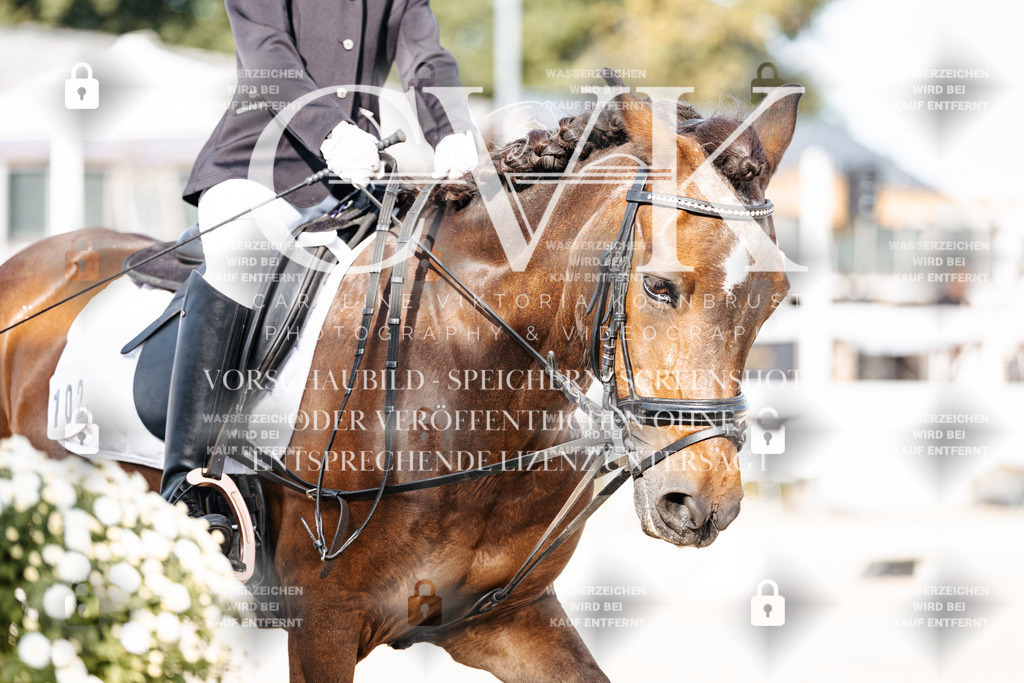 CK904833 | Turnierfotografie Pferdefotografie Trier Rheinland-Pfalz Pferdesport Reitsport Tierfotografie Sportfotografie Pferdevideo Pferdevideografie Equestrianvideography equestrianphotography  - Realisiert mit Pictrs.com