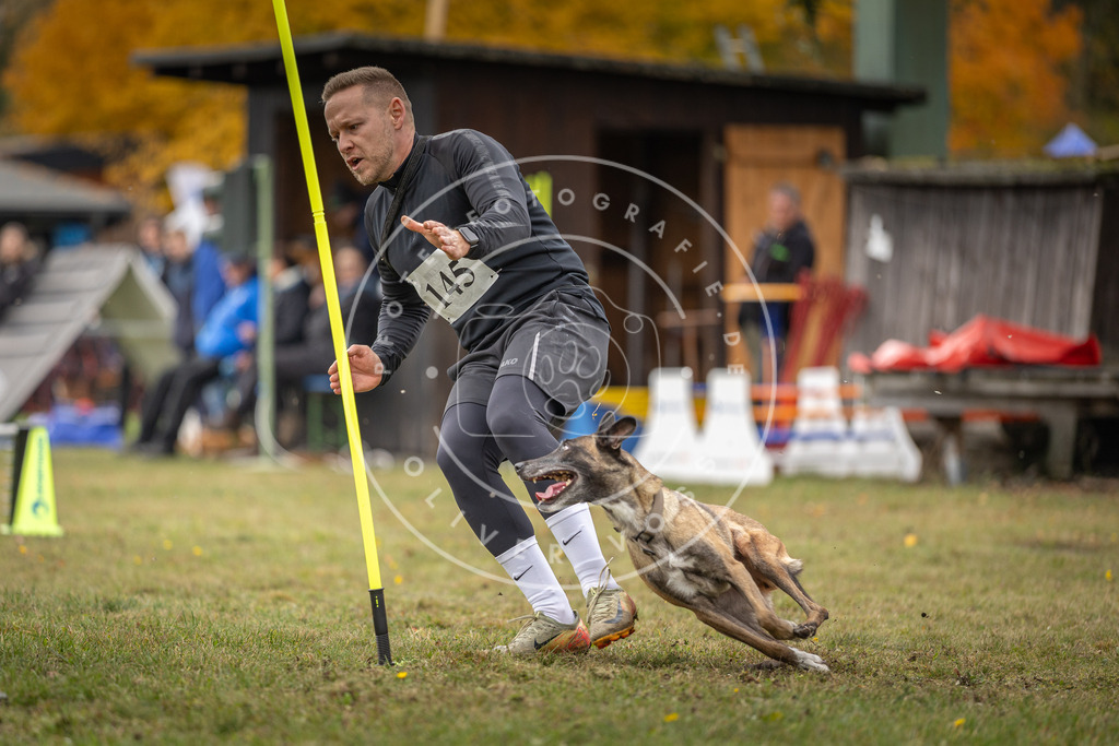 Pfotenfotografie_DV3A7802 | Hundefotografie, Tierfotograf, Pfotenfotografie, Fotoshooting Hund, Hunde Portrait, Hundesport, Hundeportraits, Heideshooting, Hunde, Sportfotograf, Hundefotograf, Turnierhundsport, THS,  - Realisiert mit Pictrs.com