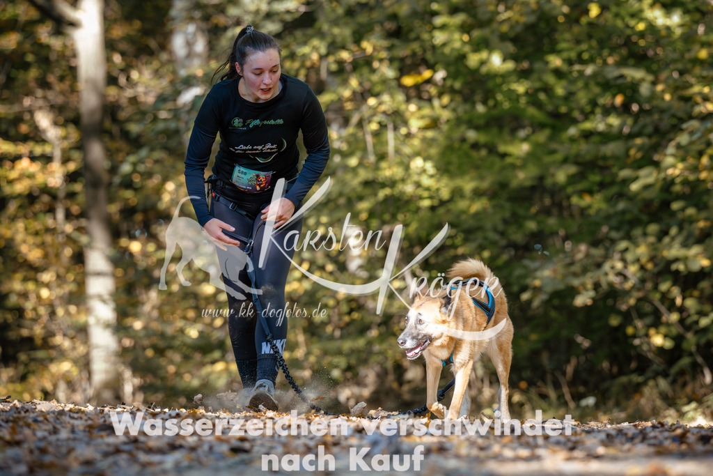 1142_ZZ93211 | kk-dogfotos