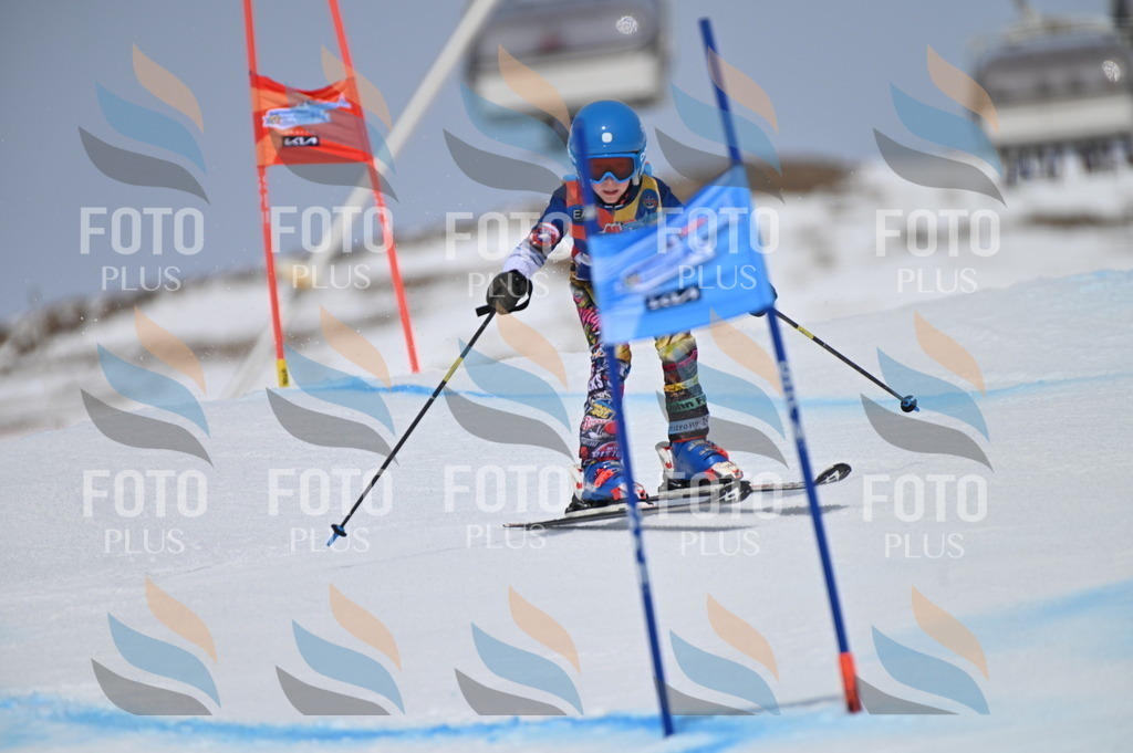 BGV_3635 | holidayphoto