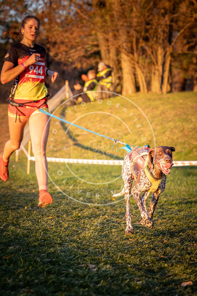 CaniXpix_0L8A1945 | Hundefotografie, Tierfotograf, Pfotenfotografie, Fotoshooting Hund, Hunde Portrait, Hundesport, Hundeportraits, Heideshooting, Hunde, Sportfotograf, Hundefotograf, Turnierhundsport, THS,  - Realisiert mit Pictrs.com
