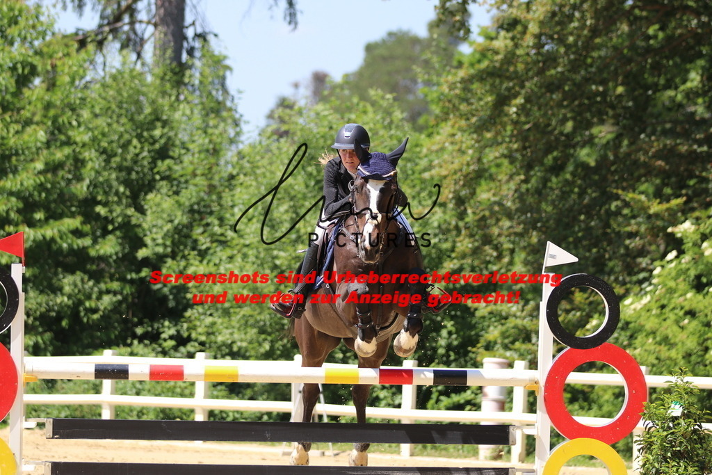 IMG_2534 | lmwpictures - Realisiert mit Pictrs.com