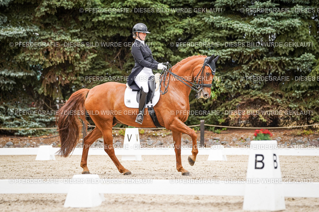 DSC05142 | Pferdegrafie