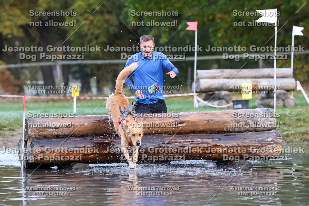 Dog Paparazzi - Strongdog 10-25-6336 | Dog Paparazzi Jeanette Grottendiek Fotografie & Videografie - Realisiert mit Pictrs.com