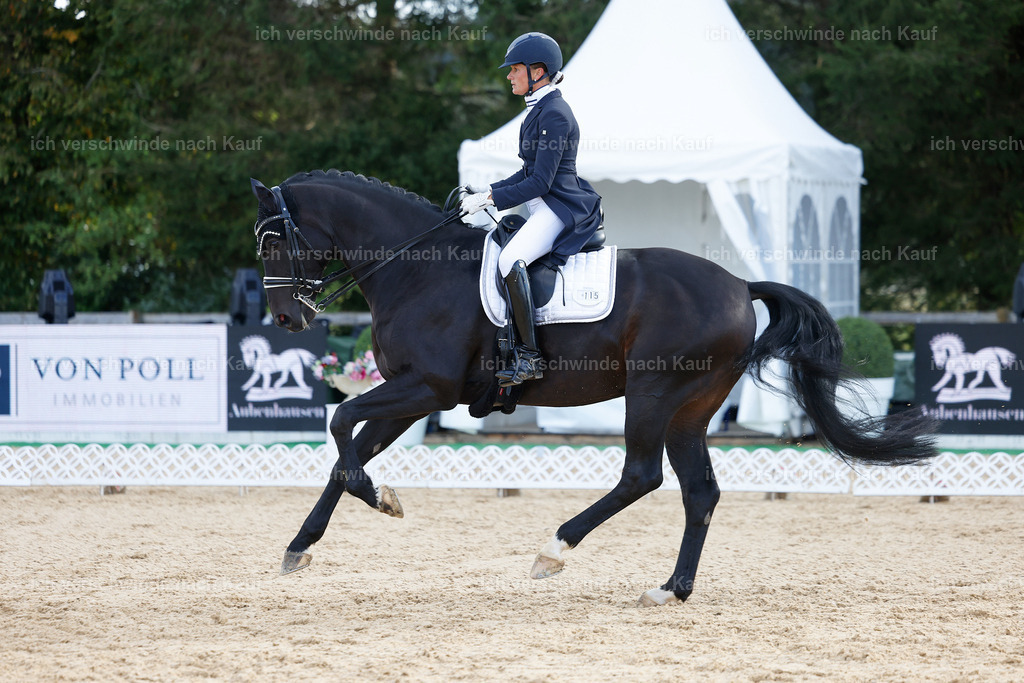 09_1-115-DRESSUR  S_  -StoibPH-5605 | working equitationturnier fotograf videograf stoibphotography marixx film working equitation deutschland reitsport turnierfotografie eventfotografie equestrian events