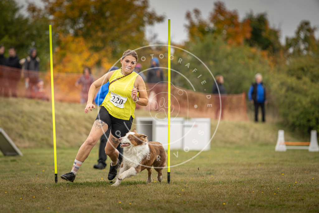 Pfotenfotografie_DV3A3707 | Hundefotografie, Tierfotograf, Pfotenfotografie, Fotoshooting Hund, Hunde Portrait, Hundesport, Hundeportraits, Heideshooting, Hunde, Sportfotograf, Hundefotograf, Turnierhundsport, THS,  - Realisiert mit Pictrs.com
