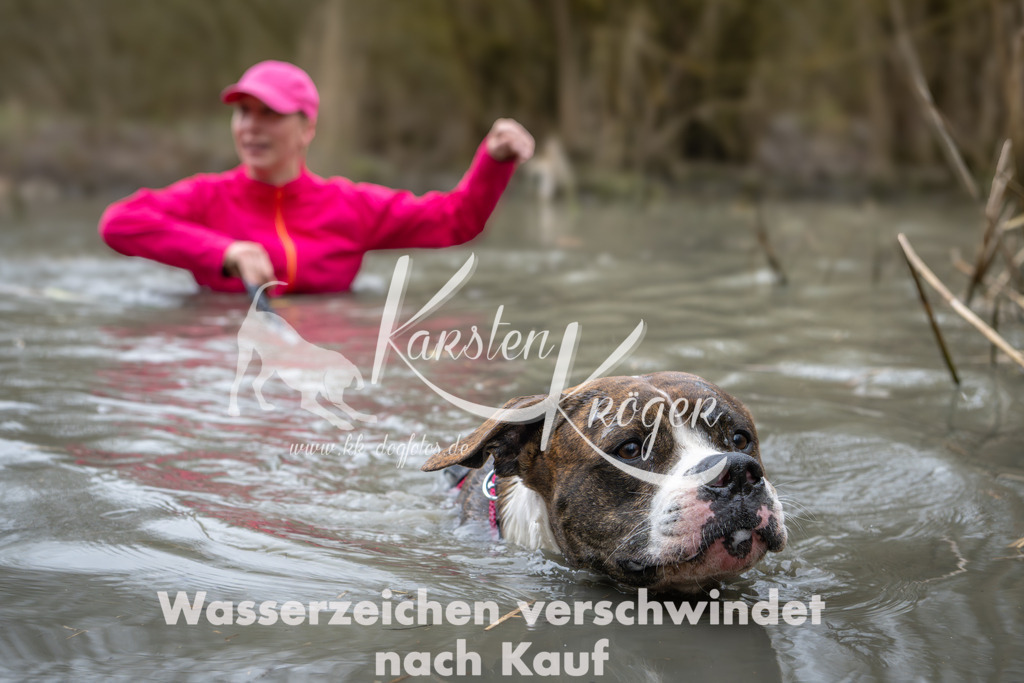 1027_ZZ99934 | kk-dogfotos