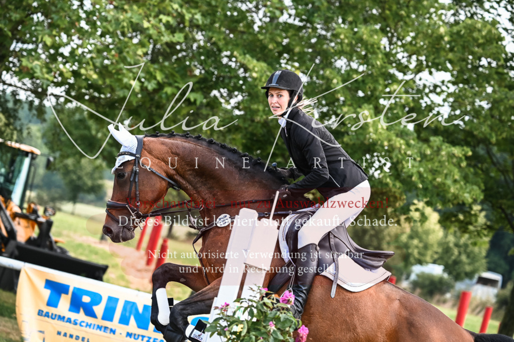 DSC_8062 | Pferde- und Turnierfotografie in Westsachsen. Pferdeportraits, Auftragszeichnungen und intuitive Kunst.