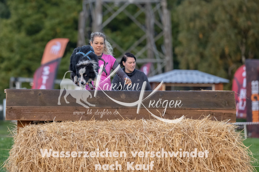 0807_ZZ94345-Bearbeitet | kk-dogfotos
