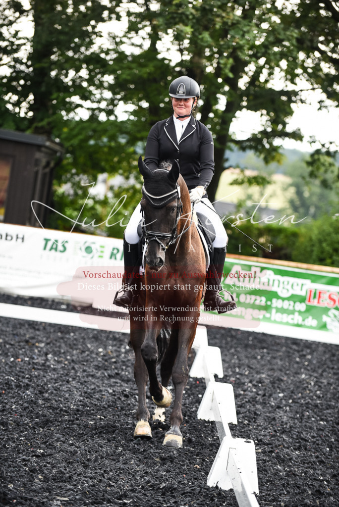 DSC_2815 | Pferde- und Turnierfotografie in Westsachsen. Pferdeportraits, Auftragszeichnungen und intuitive Kunst.