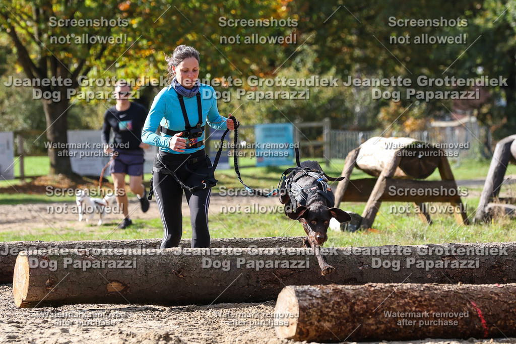 Dog Paparazzi - Strongdog 10-25-5321 | Dog Paparazzi Jeanette Grottendiek Fotografie & Videografie - Realisiert mit Pictrs.com