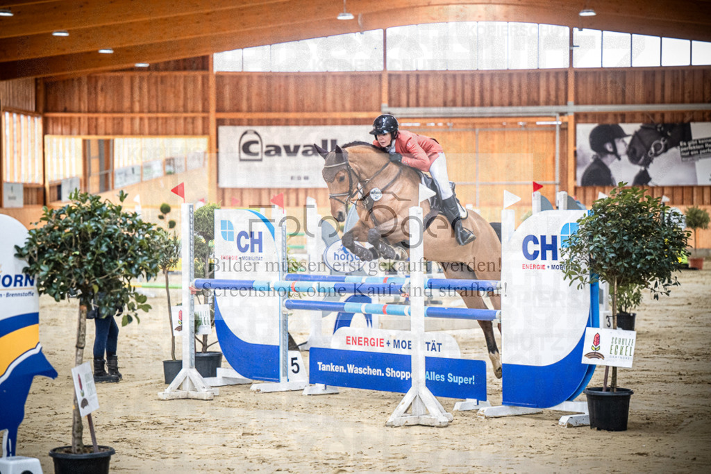 DOS_0120 | Entdecke hochwertige Reitturnierfotos von Foto Oger. Professionell, emotional und authentisch – jetzt Lieblingsmomente im Shop bestellen.Deutschlandweite Turnierfotografie. - Realisiert mit Pictrs.com