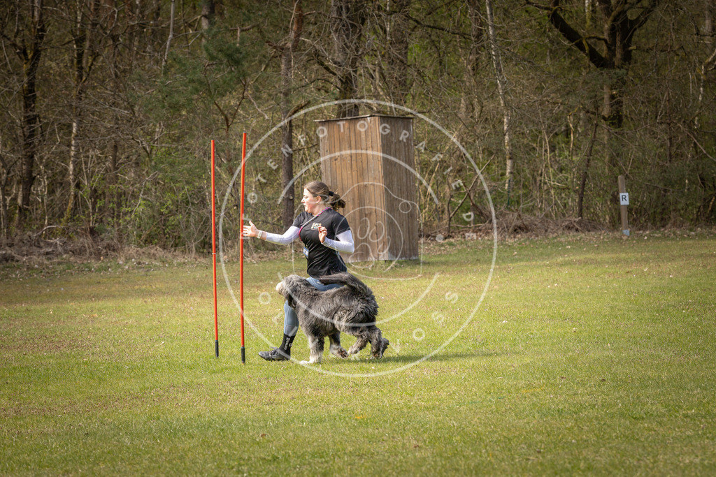 Pfotenfotografie_DV3A7394 | Hundefotografie, Tierfotograf, Pfotenfotografie, Fotoshooting Hund, Hunde Portrait, Hundesport, Hundeportraits, Heideshooting, Hunde, Sportfotograf, Hundefotograf, Turnierhundsport, THS,  - Realisiert mit Pictrs.com