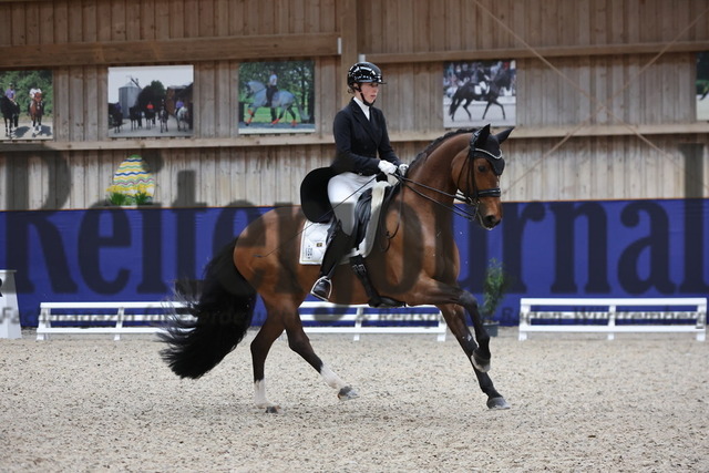 Zeutern_2025_Prfg.Nr.01_Dressurprfg.Kl.S_Grand Prix_Anna-Louisa Fuchs_Chilly Jam DSP 2 (13) | Alle Fotos der Reiterjournal Fotografin Doris Matthaes im Reiterjournal Online-Fotoshop. - Realisiert mit Pictrs.com