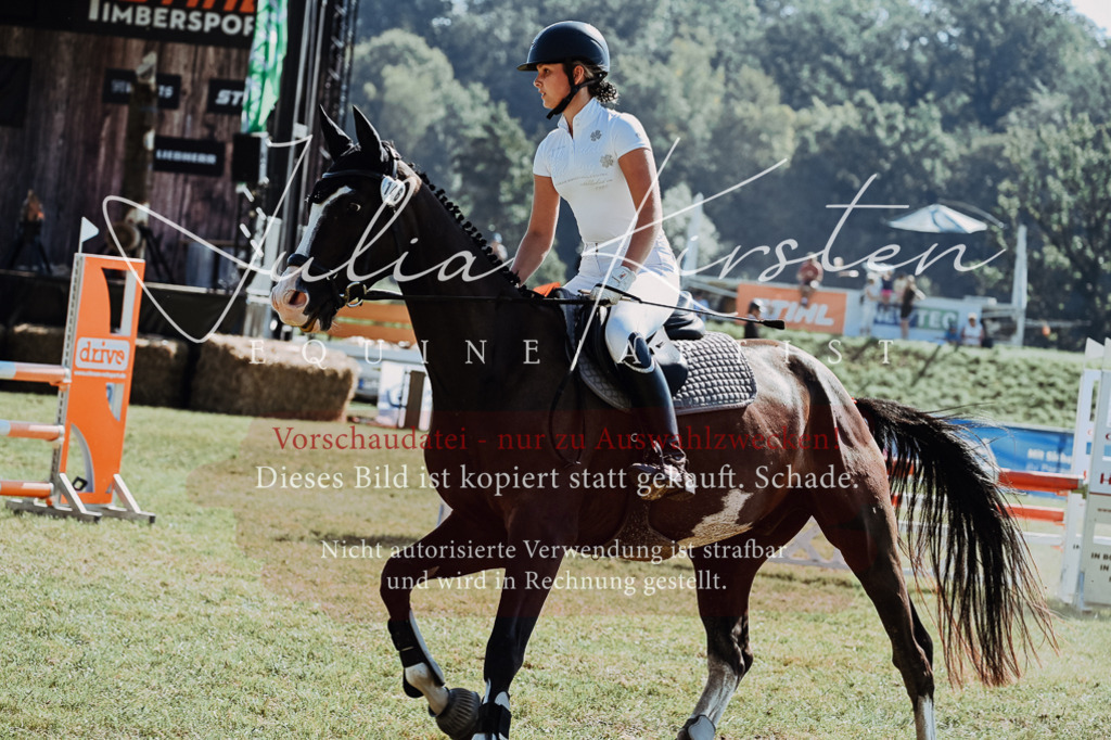 DSC_5893 | Pferde- und Turnierfotografie in Westsachsen. Pferdeportraits, Auftragszeichnungen und intuitive Kunst.