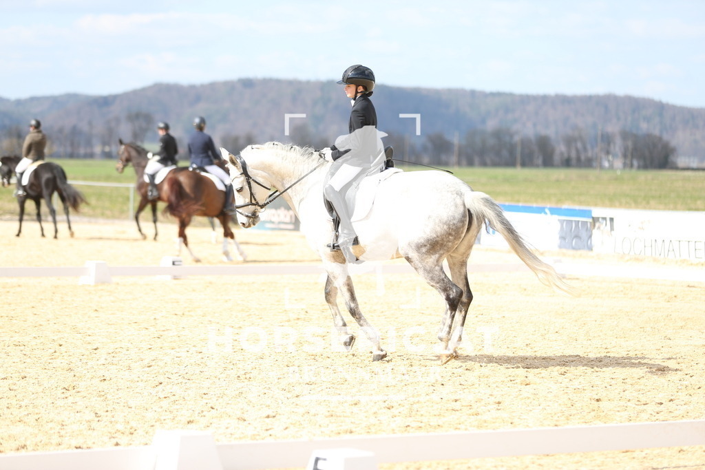 AS8V1681 | Willkommen bei Brunnmayr - Design & Fotografie – Ihrem Spezialisten für Reitturniere und Pferdeveranstaltungen in Oberösterreich, Salzburg und Bayern! Seit über 17 Jahren sind wir leidenschaftlich dabei.