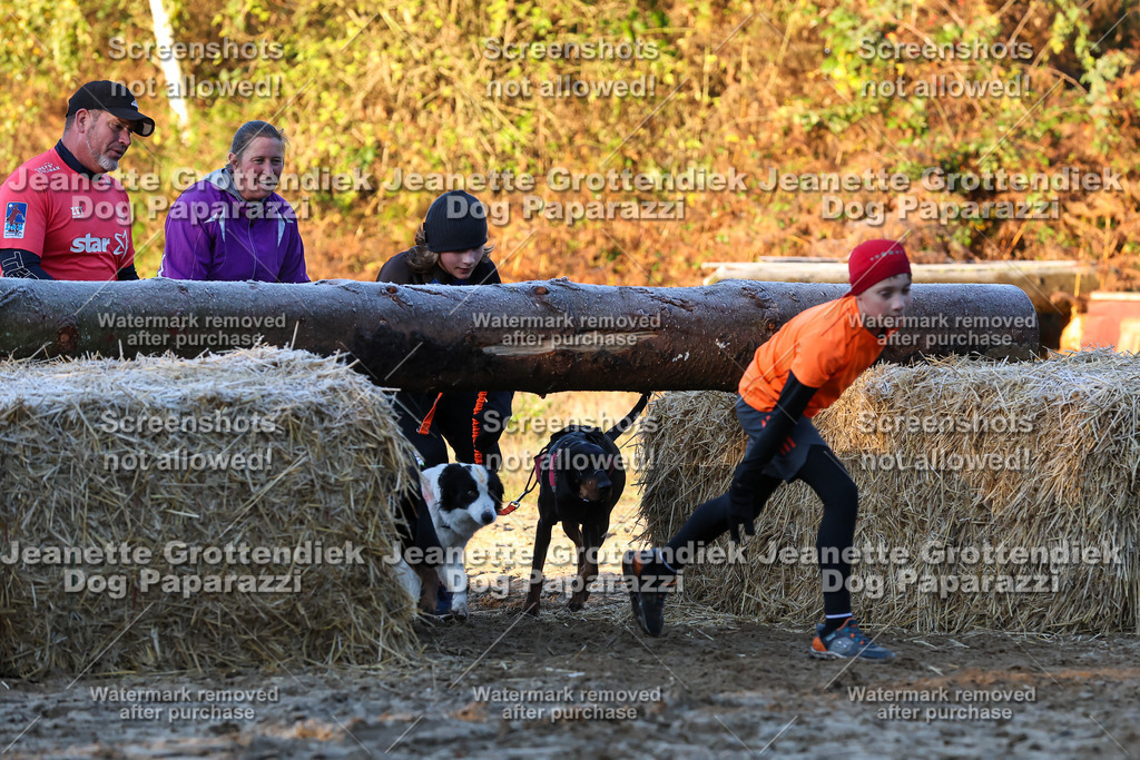 Dog Paparazzi - Strongdog 10-25-506 | Dog Paparazzi Jeanette Grottendiek Fotografie & Videografie - Realisiert mit Pictrs.com