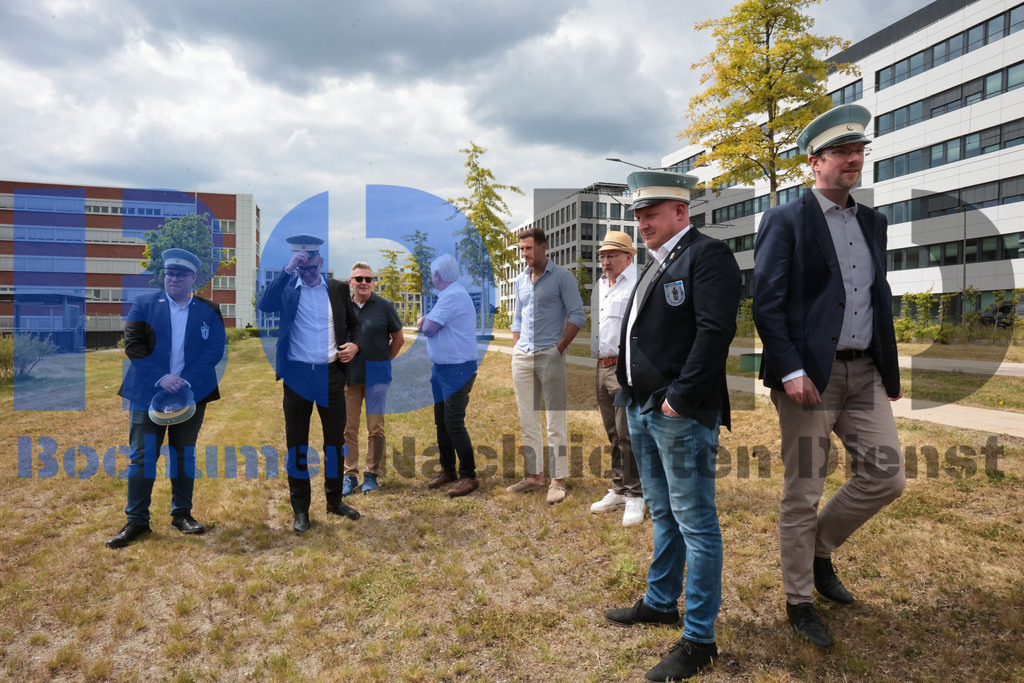 Eicheingrabung | Eicheingrabung - Realisiert mit Pictrs.com