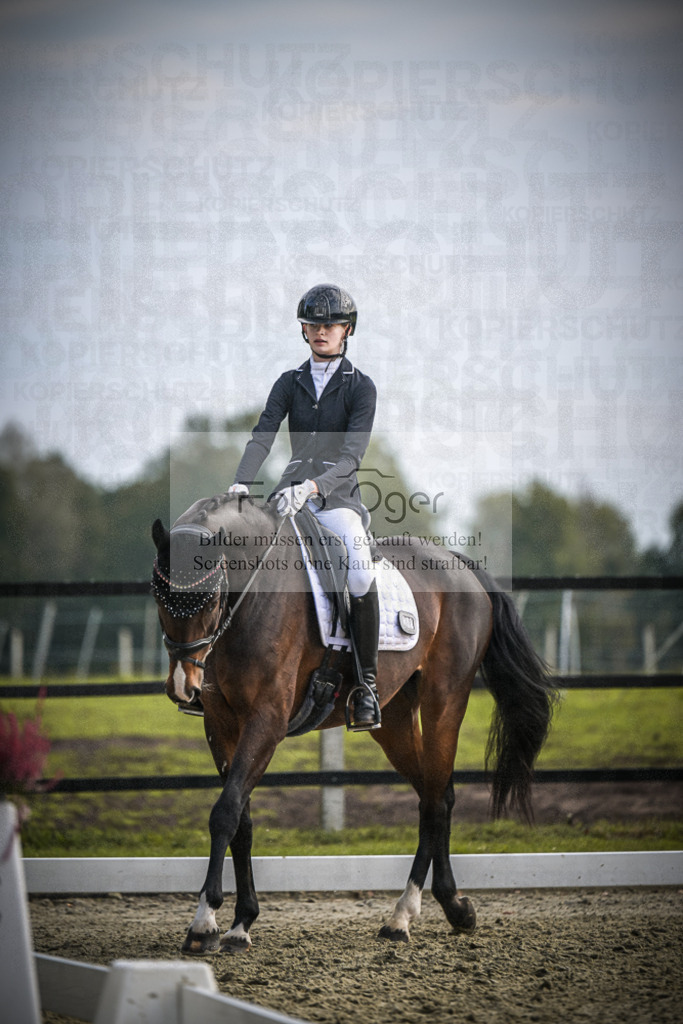 DOS_B084 | Entdecke hochwertige Reitturnierfotos von Foto Oger. Professionell, emotional und authentisch – jetzt Lieblingsmomente im Shop bestellen.Deutschlandweite Turnierfotografie. - Realisiert mit Pictrs.com