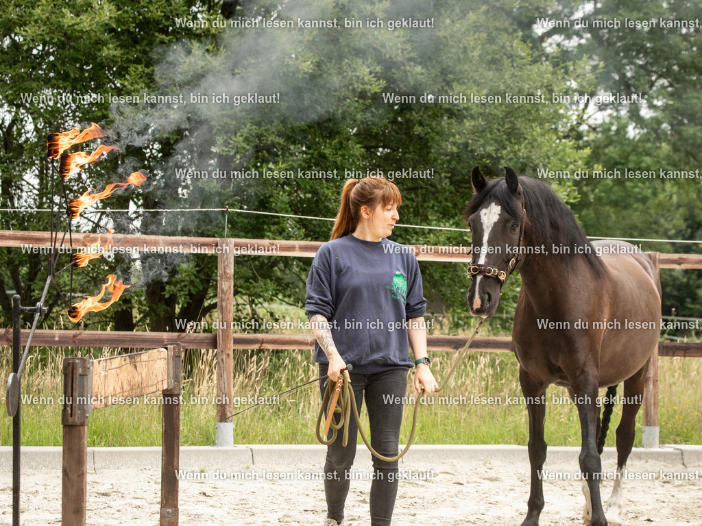 598A6825 | photographylinaismer - Realisiert mit Pictrs.com