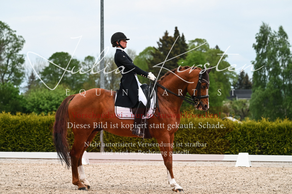 20230513_JK-Röhrsdorf-13-610 | Pferde- und Turnierfotografie in Westsachsen. Pferdeportraits, Auftragszeichnungen und intuitive Kunst.