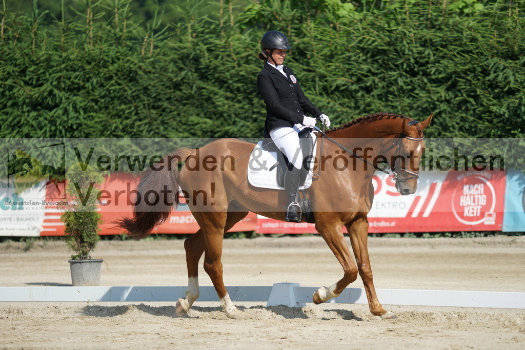 DSC01365 | equestrian-live-com