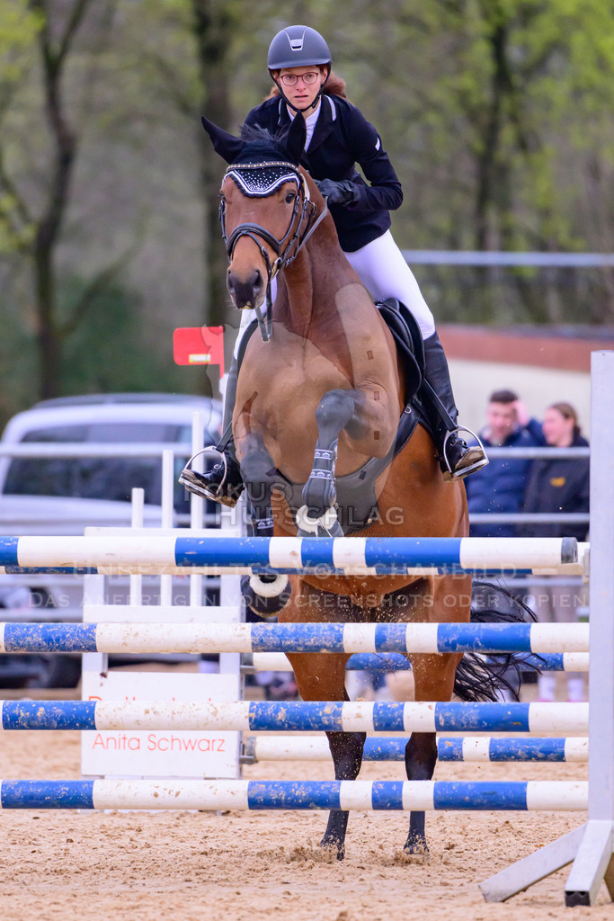 10042026-Mammendorf-Prfg19-0581 | Fokus Hufschlag Fotografie - Realisiert mit Pictrs.com