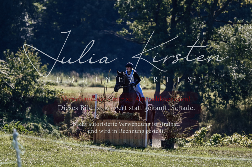 DSC_1597 | Pferde- und Turnierfotografie in Westsachsen. Pferdeportraits, Auftragszeichnungen und intuitive Kunst.