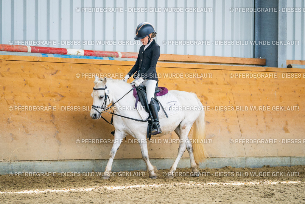 DSC04944 | Pferdegrafie