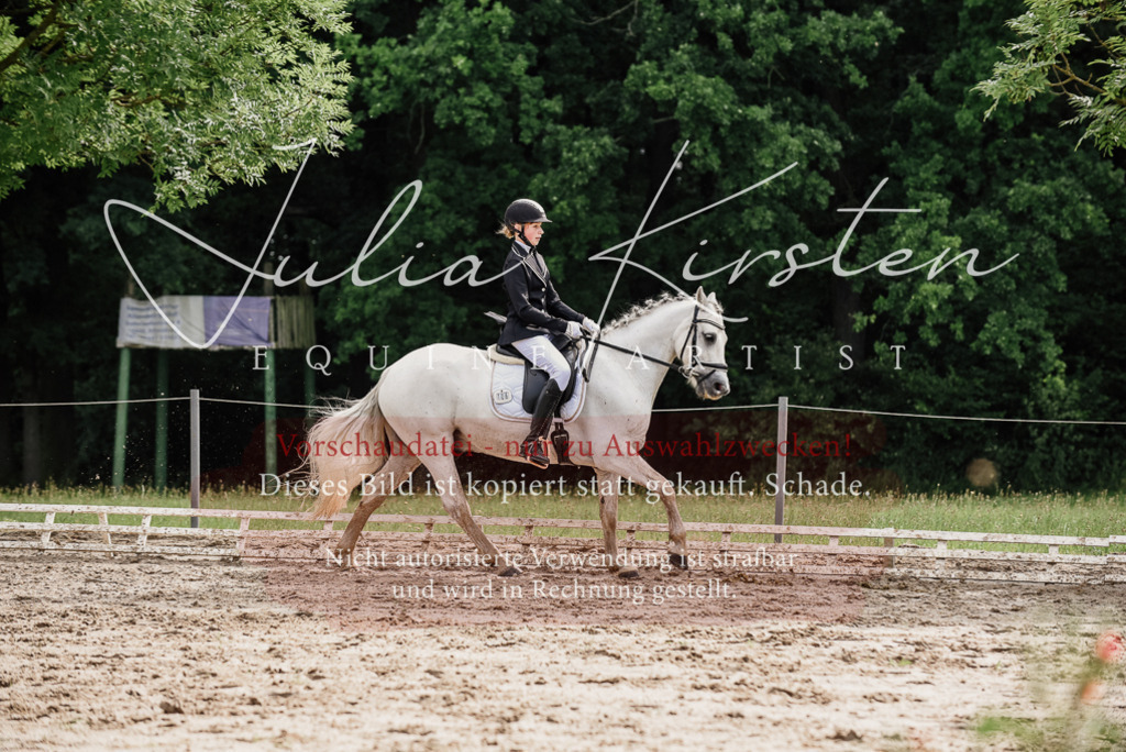 DSC_9473 | Pferde- und Turnierfotografie in Westsachsen. Pferdeportraits, Auftragszeichnungen und intuitive Kunst.